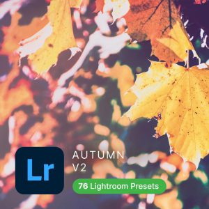 Autumn Lightroom Presets (Vol2)