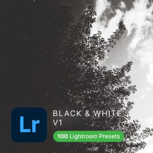 Black White Lightroom Presets (Vol1)