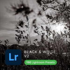 Black White Lightroom Presets (Vol2)