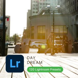DayLight Lightroom Presets (Vol2)