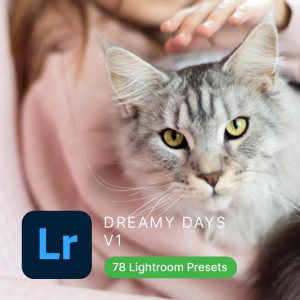 Dreamy Days Lightroom Presets