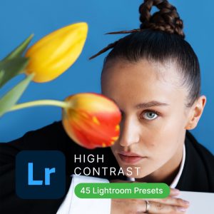 High Contrast Lightroom 45 Presets