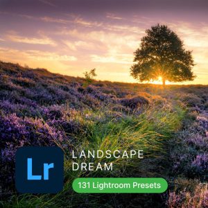 Landscape Dream Lightroom Presets