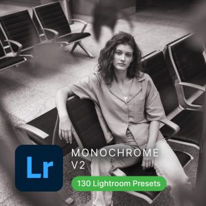 Monochrome Lightroom Presets (Vol2)