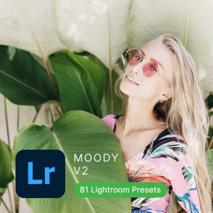 Moody Lightroom Presets (Vol2)