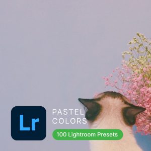 Pastel Lightroom Presets