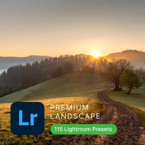 Premium Lightroom Presets