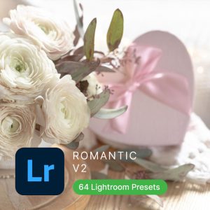 Romantic Lightroom Presets (Vol2)