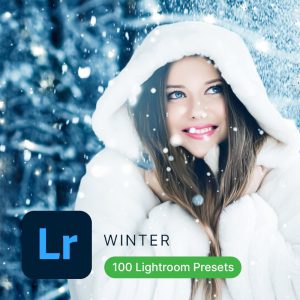 Winter Lightroom Presets